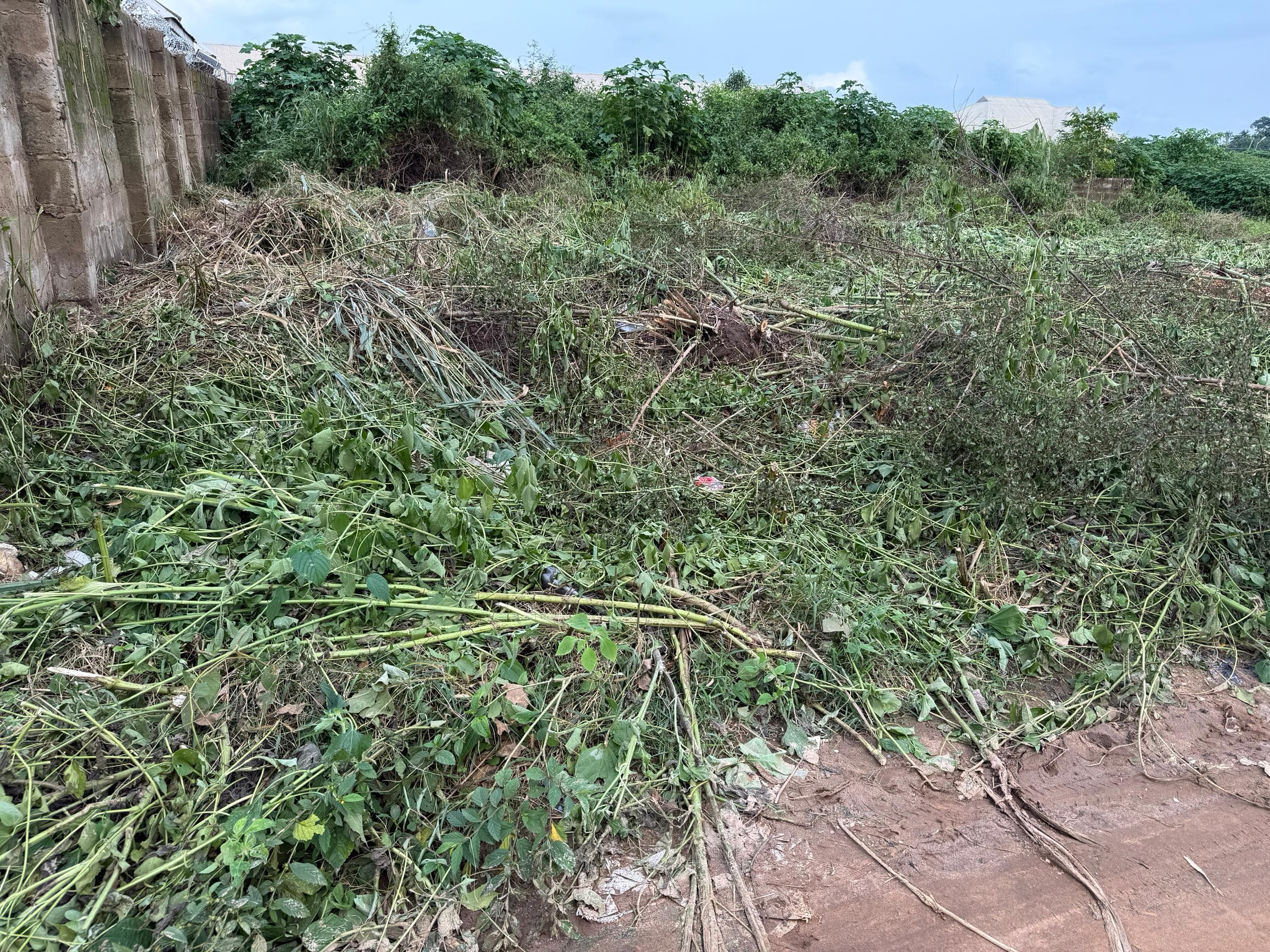 Plot of land